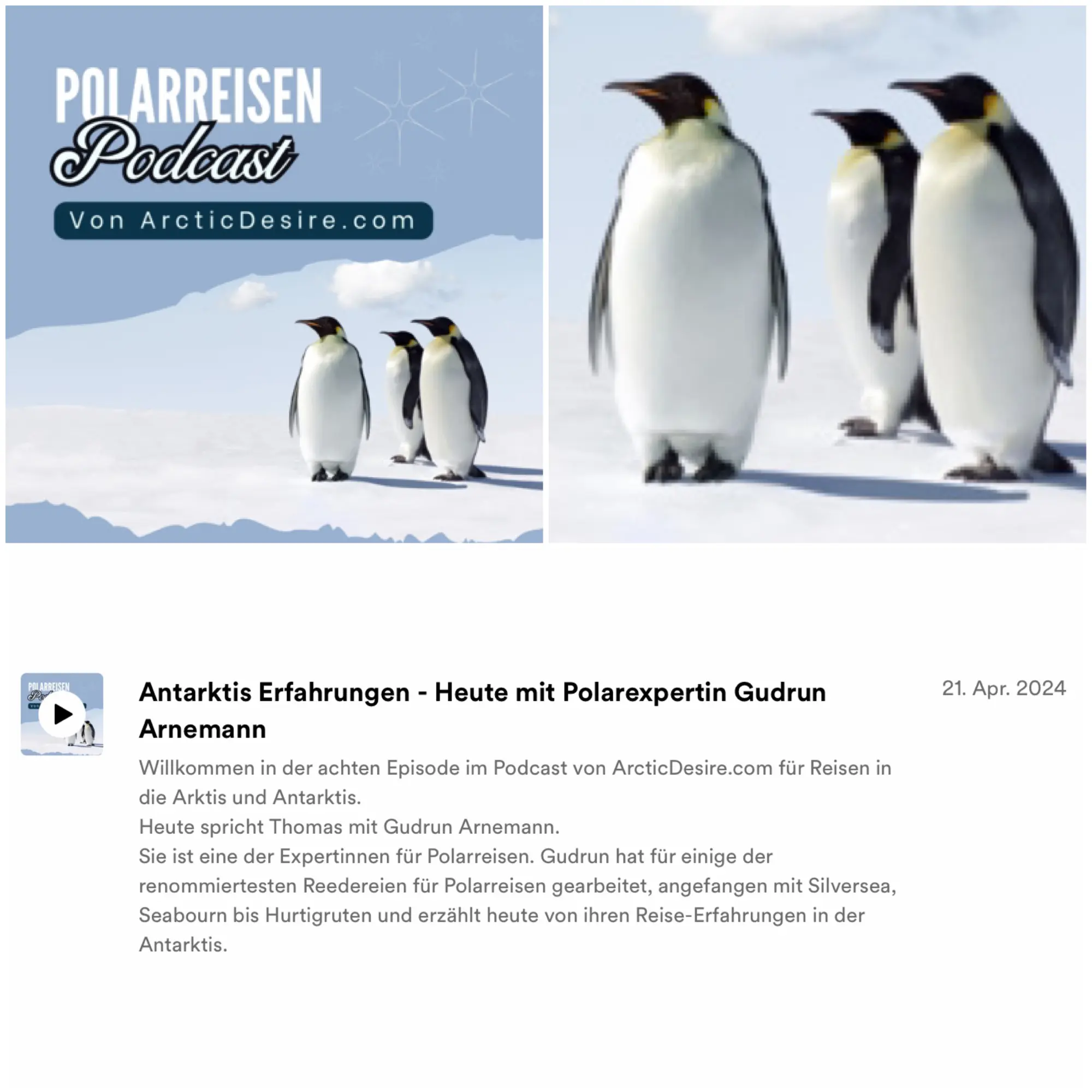 Referenz - Gudrun Arnemann spricht als Gast-Referent beim beliebten Podcast für Polarreisen über die Antarktis.
